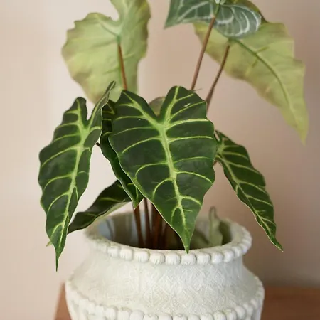 Διαμέρισμα Skye Urban Oasis Τρίπολη